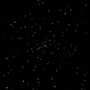 Meet your Posher, Valerie